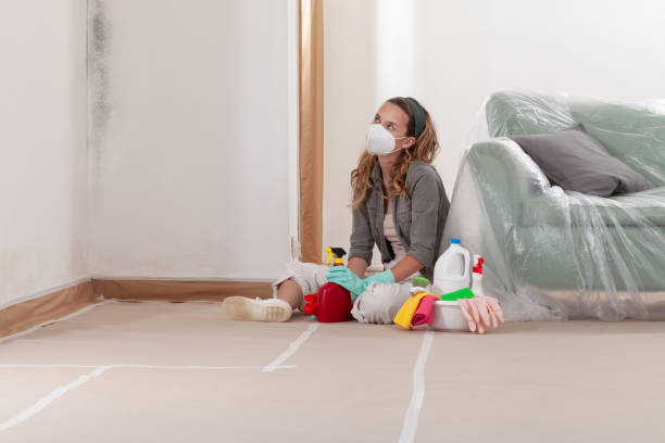 Reliable Mold Remediation contractor in Fairfield, IL by Mold Remediation HQ